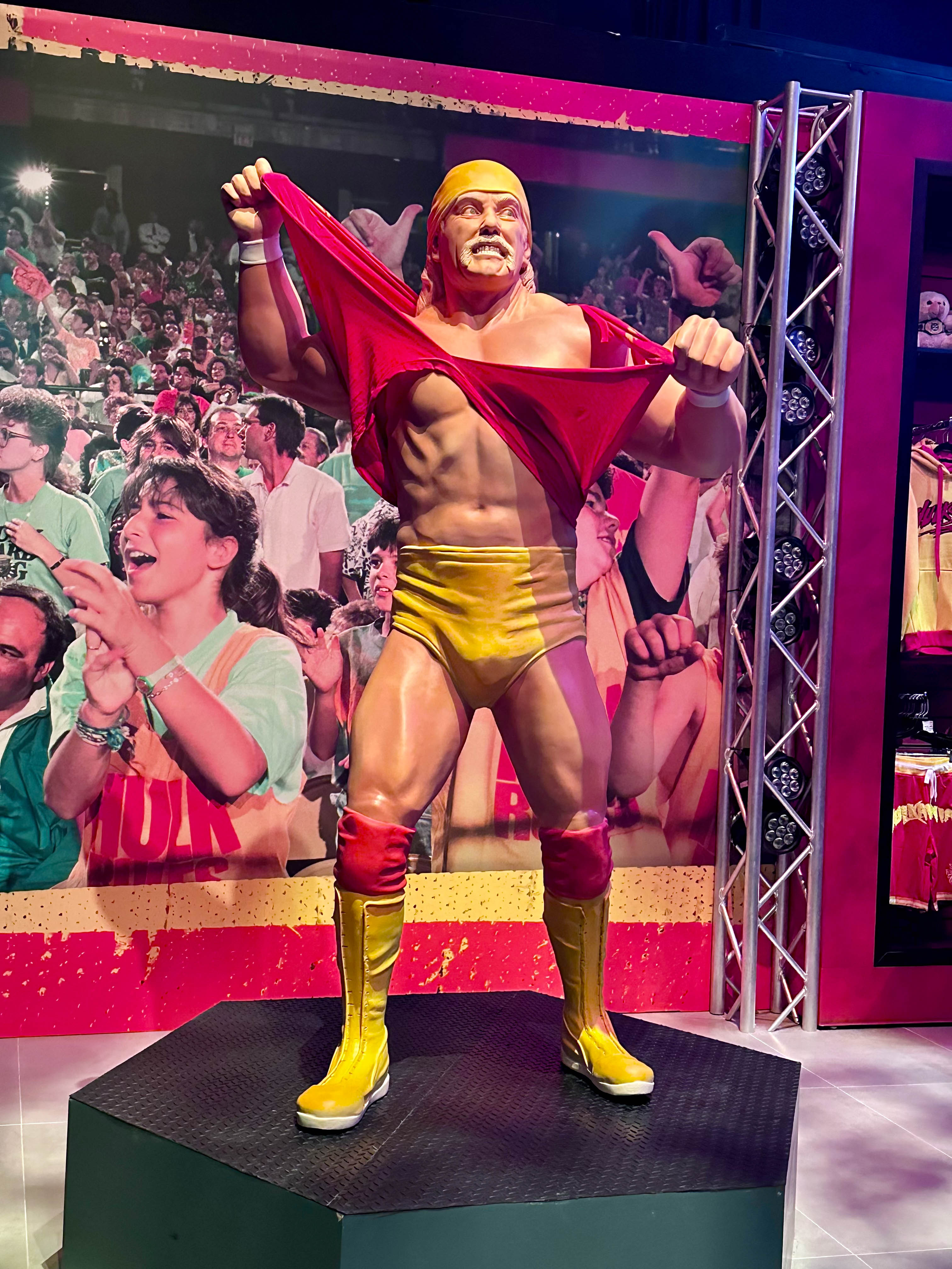The One And Only Hulk Hogan